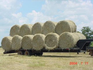 Loading photo of round bales on the trailer...