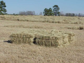 Loading photo of square bales...